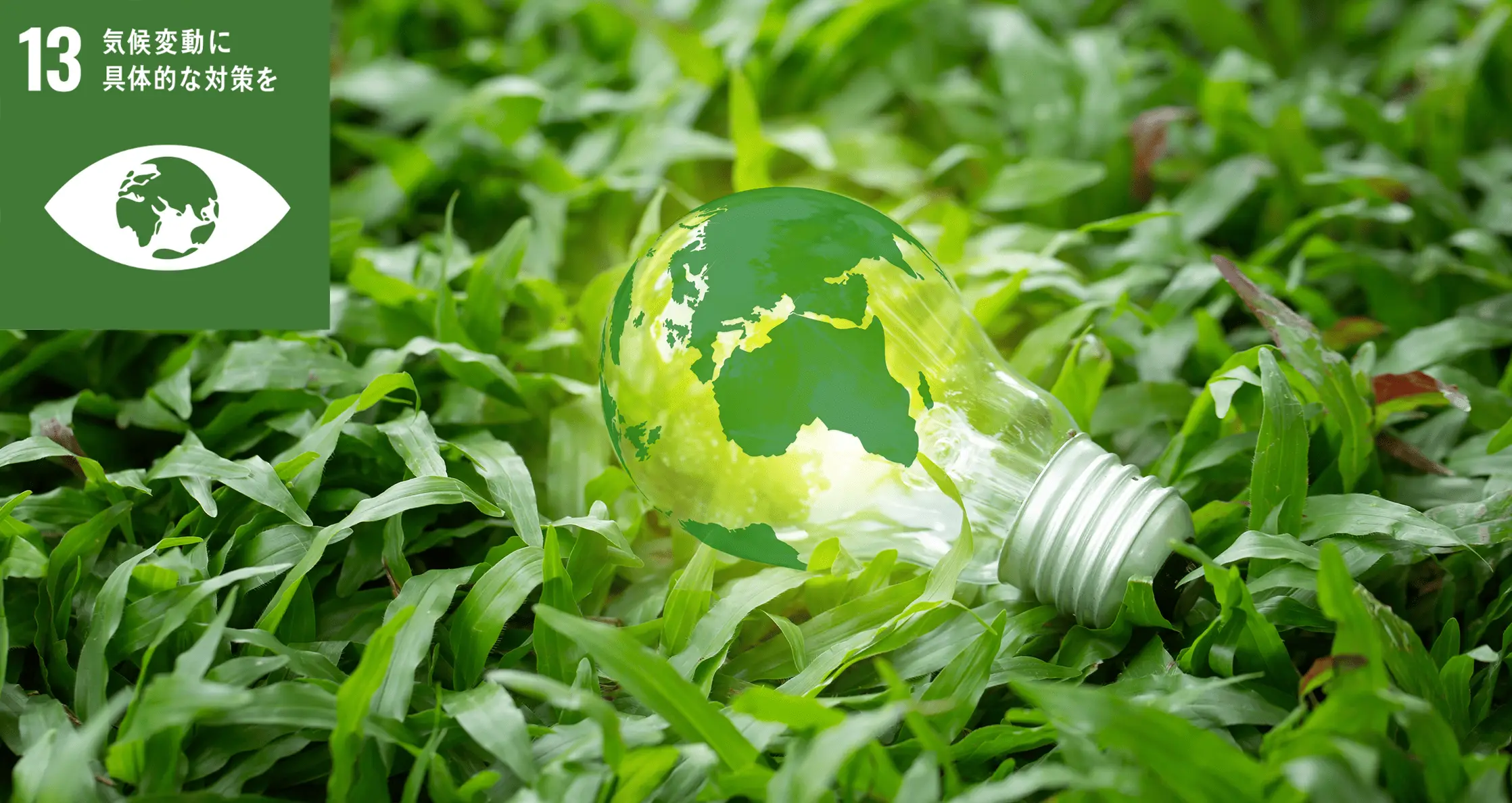 SDGsに基づく取り組みと展望